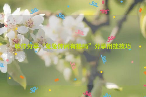 软件分享“兔兔休闲有挂吗”分享用挂技巧