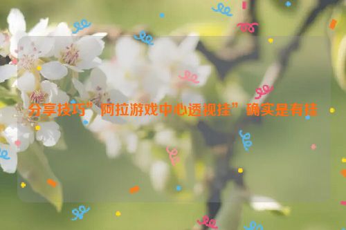 分享技巧”阿拉游戏中心透视挂”确实是有挂