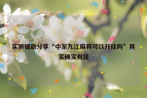 实测辅助分享“中至九江麻将可以开挂吗”其实确实有挂