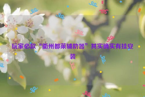 玩家必款“衢州都莱辅助器”其实确实有挂安装