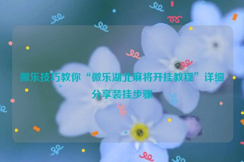 微乐技巧教你“微乐湖北麻将开挂教程”详细分享装挂步骤