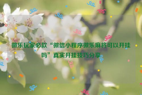 微乐玩家必款“微信小程序微乐麻将可以开挂吗”真实开挂技巧分享