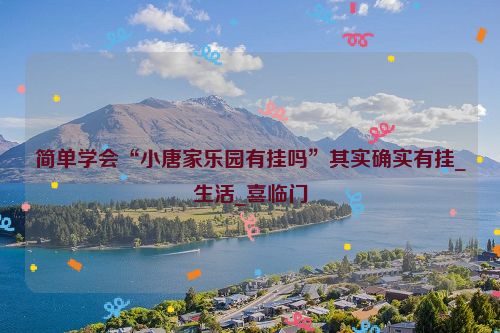 简单学会“小唐家乐园有挂吗”其实确实有挂_生活_喜临门