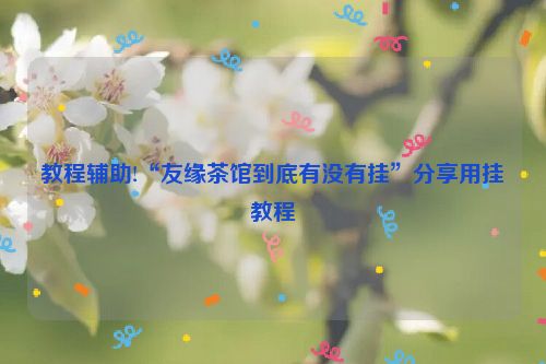 教程辅助!“友缘茶馆到底有没有挂”分享用挂教程