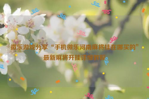 微乐游戏分享“手机微乐河南麻将挂在哪买的”最新麻将开挂详细教程