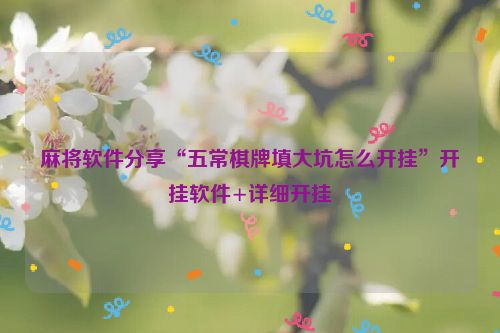 麻将软件分享“五常棋牌填大坑怎么开挂”开挂软件+详细开挂