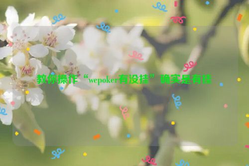 教你操作“wepoker有没挂”确实是有挂