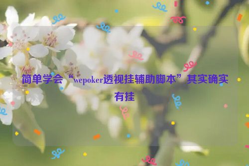 简单学会“wepoker透视挂辅助脚本”其实确实有挂