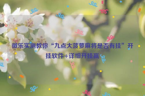 微乐实测教你“九点大菠萝麻将是否有挂”开挂软件+详细开挂赢