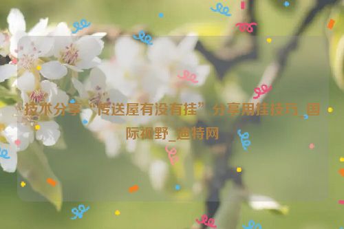 技术分享“传送屋有没有挂”分享用挂技巧_国际视野_迪特网