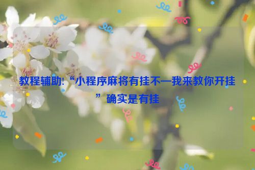 教程辅助!“小程序麻将有挂不—我来教你开挂”确实是有挂