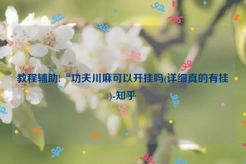 教程辅助!“功夫川麻可以开挂吗(详细真的有挂)-知乎