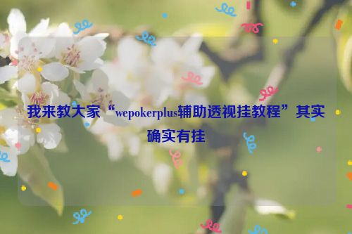 我来教大家“wepokerplus辅助透视挂教程”其实确实有挂