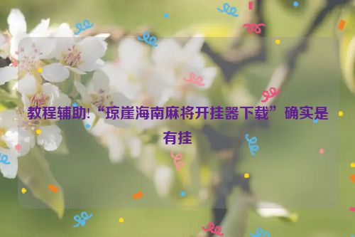 教程辅助!“琼崖海南麻将开挂器下载”确实是有挂