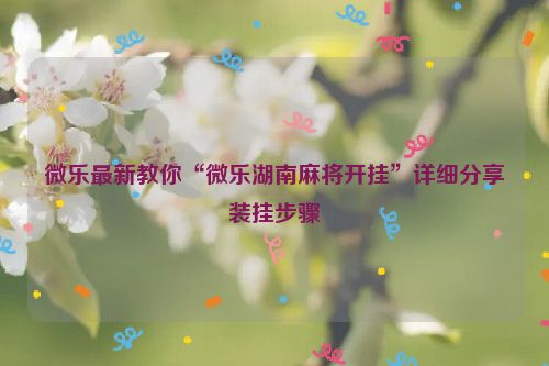 微乐最新教你“微乐湖南麻将开挂”详细分享装挂步骤