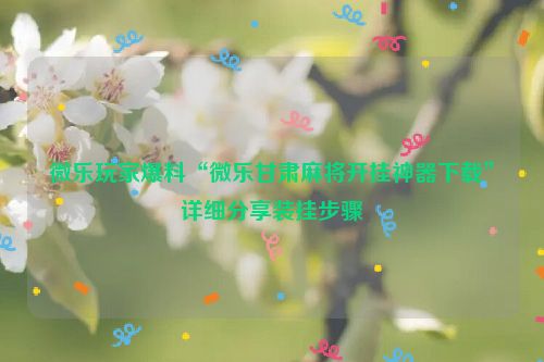微乐玩家爆料“微乐甘肃麻将开挂神器下载”详细分享装挂步骤