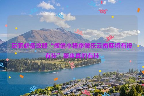 玩家必备攻略“微信小程序微乐云南麻将有没有挂”原来真的有挂