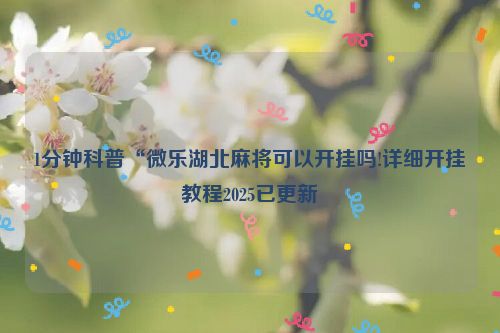 1分钟科普“微乐湖北麻将可以开挂吗!详细开挂教程2025已更新