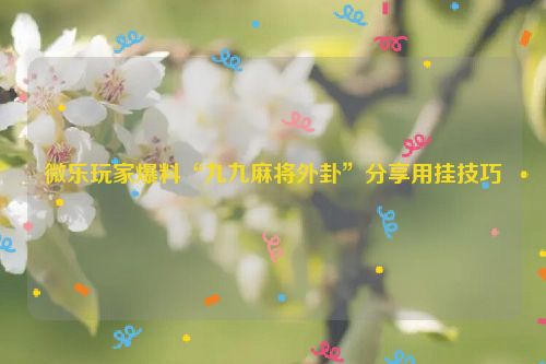 微乐玩家爆料“九九麻将外卦”分享用挂技巧