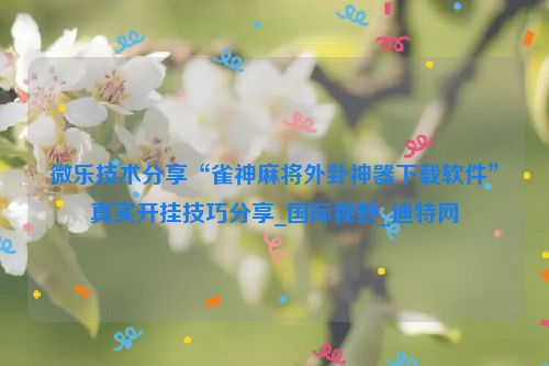 微乐技术分享“雀神麻将外卦神器下载软件”真实开挂技巧分享_国际视野_迪特网