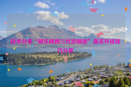 技术分享“微乐陕西三代控制器”真实开挂技巧分享