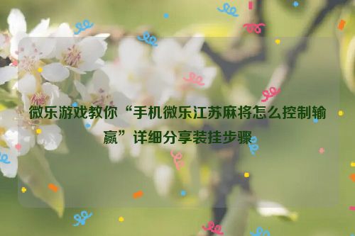 微乐游戏教你“手机微乐江苏麻将怎么控制输赢”详细分享装挂步骤
