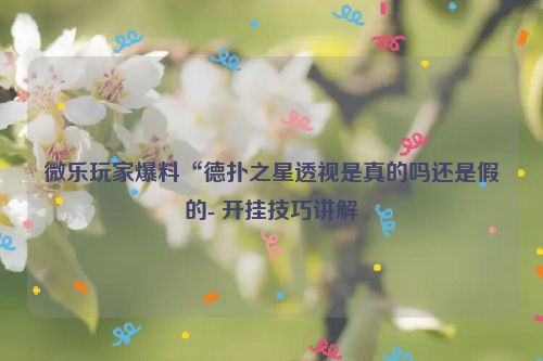 微乐玩家爆料“德扑之星透视是真的吗还是假的- 开挂技巧讲解