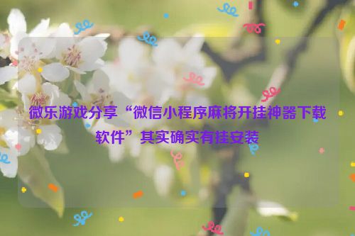微乐游戏分享“微信小程序麻将开挂神器下载软件”其实确实有挂安装