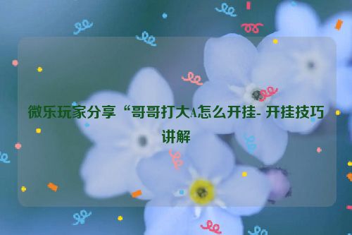 微乐玩家分享“哥哥打大A怎么开挂- 开挂技巧讲解