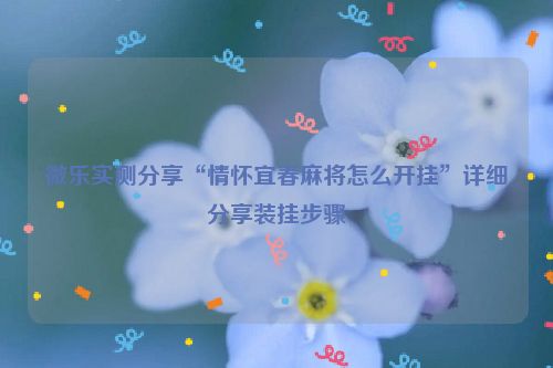 微乐实测分享“情怀宜春麻将怎么开挂”详细分享装挂步骤