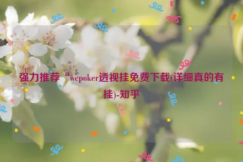 强力推荐“wepoker透视挂免费下载(详细真的有挂)-知乎