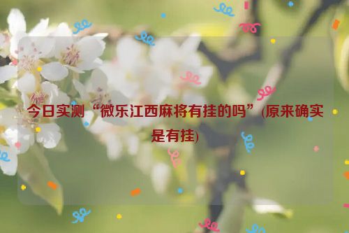 今日实测“微乐江西麻将有挂的吗”(原来确实是有挂)
