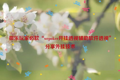 微乐玩家必款“wepoker开挂透视辅助软件透视”分享外挂技术