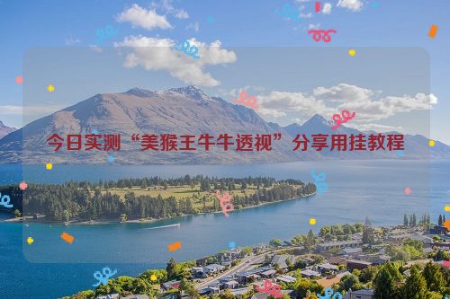 今日实测“美猴王牛牛透视”分享用挂教程