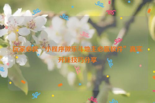 玩家必款“小程序微乐斗地主必赢软件”真实开挂技巧分享