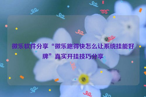 微乐软件分享“微乐跑得快怎么让系统挂能好牌”真实开挂技巧分享