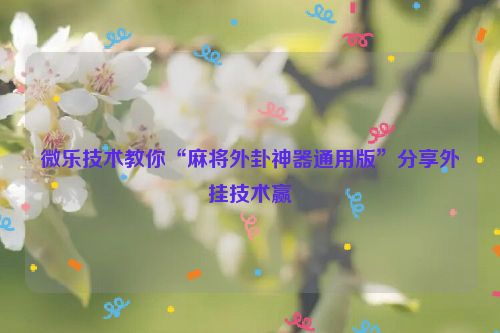 微乐技术教你“麻将外卦神器通用版”分享外挂技术赢