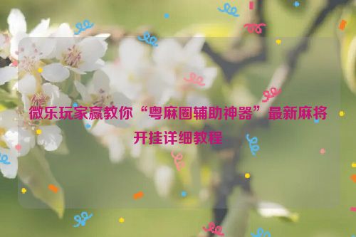 微乐玩家赢教你“粤麻圈辅助神器”最新麻将开挂详细教程