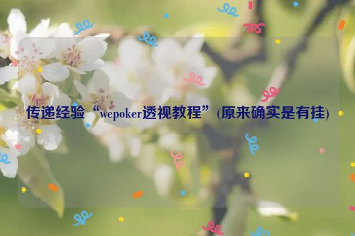 传递经验“wepoker透视教程”(原来确实是有挂)