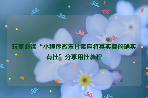 玩家必读“小程序微乐甘肃麻将其实真的确实有挂”分享用挂教程