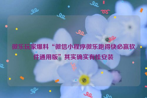 微乐玩家爆料“微信小程序微乐跑得快必赢软件通用版”其实确实有挂安装