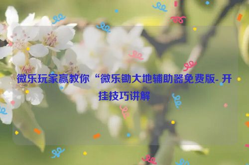 微乐玩家赢教你“微乐锄大地辅助器免费版- 开挂技巧讲解