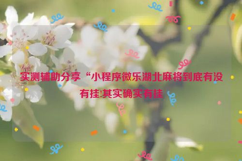 实测辅助分享“小程序微乐湖北麻将到底有没有挂!其实确实有挂