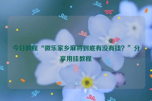 今日教程“微乐家乡麻将到底有没有挂?”分享用挂教程