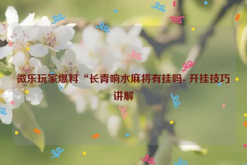 微乐玩家爆料“长青响水麻将有挂吗- 开挂技巧讲解