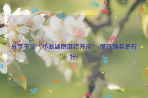 分享干货“小吆湖南麻将开挂”(原来确实是有挂)