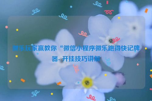 微乐玩家赢教你“微信小程序微乐跑得快记牌器- 开挂技巧讲解