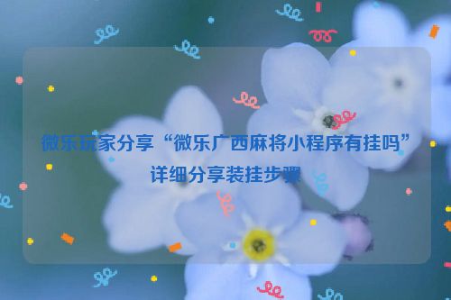 微乐玩家分享“微乐广西麻将小程序有挂吗”详细分享装挂步骤