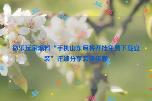 微乐玩家爆料“手机山东麻将开挂免费下载安装”详细分享装挂步骤