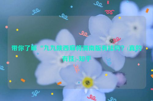带你了解“九九陕西麻将渭南版有挂吗?(真的有挂)-知乎